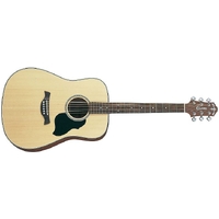 Crafter Lite SP/N D Series Acoustic Guitar 