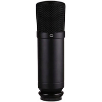 Studio Condenser Microphone Large Diaphragm Recording Vocal Instrument Mic DP Stage DPC400