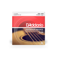 D'addario EJ39 Phos Bronze 12 string guitar strings 12-52 Set Medium