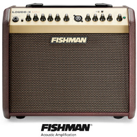 Fishman Loudbox mini Bluetooth 60W 2 channel Acoustic Guitar Amplifier Loud Box
