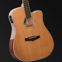 Tanglewood Winterleaf Pro Dreadnought C/E Acoustic Gloss Finish Guitar [TWPRO5-CE-NA]