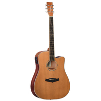Tanglewood TWPRO5 Winterleaf Dreadnought C/E Acoustic Guitar